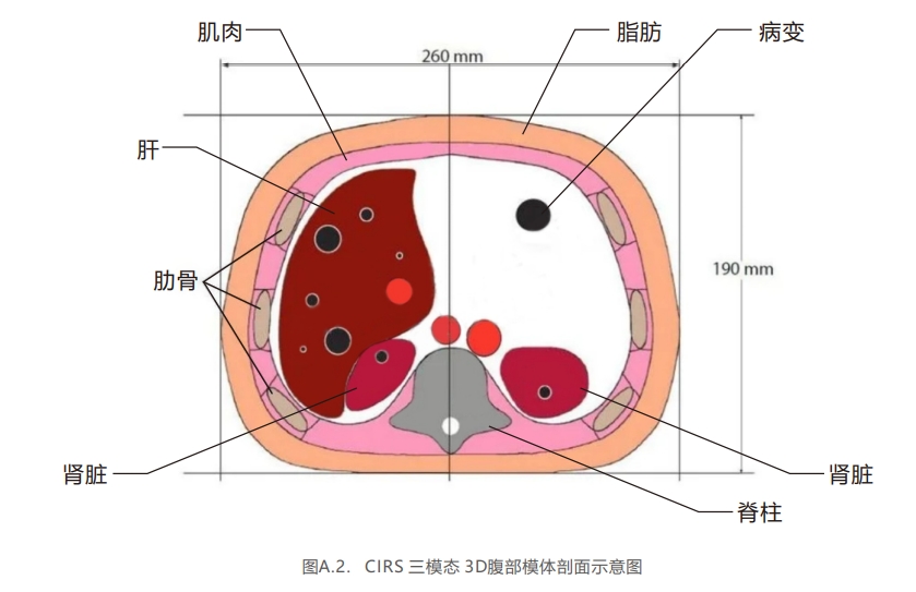 三模態3D腹部模體2 三模態3D腹部模體2