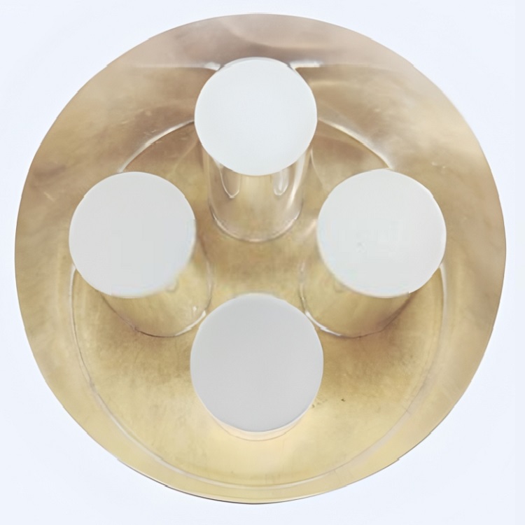 骨密度模體1 骨密度模體1